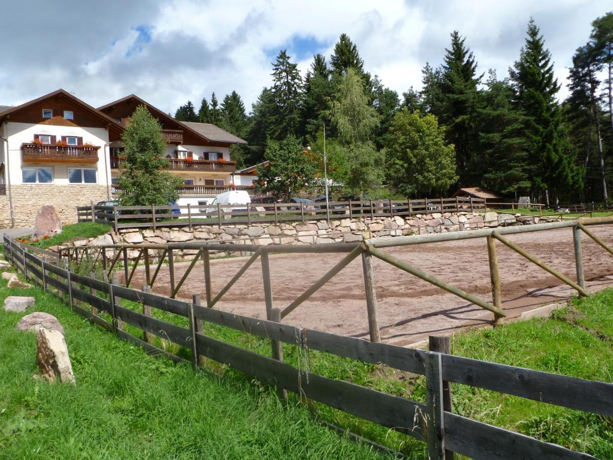 Reiterhof Edelweiss Hotel San Genesio Atesino Kültér fotó